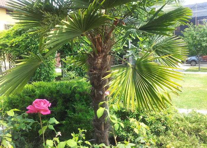 Il Pioppo E La Fonte فندق مبيت وإفطار