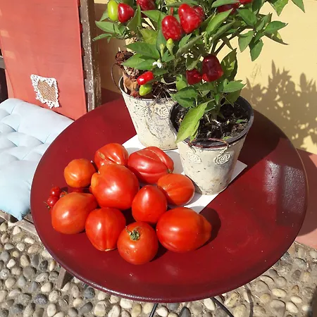 Il Pioppo E La Fonte Bed & Breakfast Castello d'Agogna