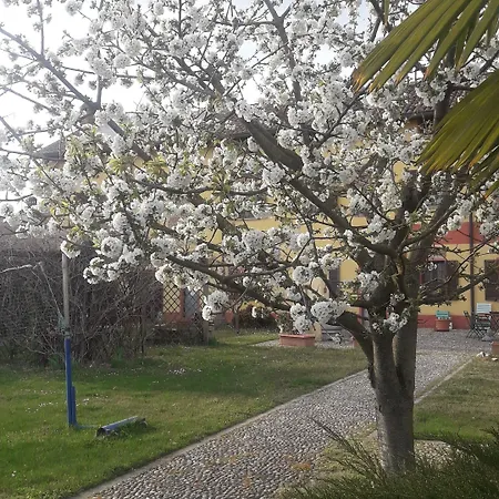Il Pioppo E La Fonte Bed & Breakfast