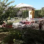 Il Pioppo E La Fonte