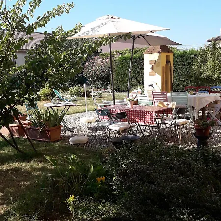 Il Pioppo E La Fonte